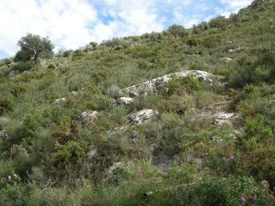 monte calvario account