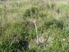 Fichero: Arbol de Stanley Macaulay.jpg
Tamaño: 597KB
Dimensiones: 1066x800
Fecha de alta: 04 de Abr de 2011 Arbol de Stanley Macaulay.jpg