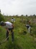 Fichero: 28 Plantando junto a la Laguna Escondida.jpg
Tamaño: 563KB
Dimensiones: 1000x1333
Fecha de alta: 23 de Mar de 2008 28 Plantando junto a la Laguna Escondida.jpg