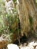 Fichero: Hiedra plantada junto a roca.jpg
Tamaño: 787KB
Dimensiones: 750x1000
Fecha de alta: 31 de Mar de 2008 Hiedra plantada junto a roca.jpg