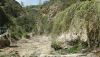 Fichero: Otra vista de los trabajos en el arroyo.jpg
Tamaño: 898KB
Dimensiones: 1228x700
Fecha de alta: 31 de Mar de 2008 Otra vista de los trabajos en el arroyo.jpg
