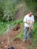 Fichero: Plantando un fresno.jpg
Tamaño: 268KB
Dimensiones: 960x1280
Fecha de alta: 24 de Oct de 2005 Plantando un fresno.jpg
