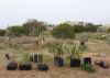 Fichero: Plantas preparadas.jpg
Tamaño: 288KB
Dimensiones: 600x430
Fecha de alta: 10 de Ago de 2006 Plantas preparadas.jpg