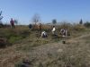 Fichero: reforestación (15_03_14) (69).JPG
Tamaño: 122KB
Dimensiones: 1024x768
Fecha de alta: 27 de Mar de 2014 reforestación (15_03_14) (69).JPG