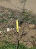 Fichero: reforestación (15_03_14) (93).JPG
Tamaño: 159KB
Dimensiones: 768x1024
Fecha de alta: 27 de Mar de 2014 reforestación (15_03_14) (93).JPG