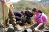 Fichero: reforestando.JPG
Tamaño: 79KB
Dimensiones: 600x398
Fecha de alta: 17 de Oct de 2006 reforestando.JPG