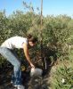 Fichero: riegos jueves 4 de agosto 009.jpg
Tamaño: 448KB
Dimensiones: 1244x1500
Fecha de alta: 07 de Ago de 2011 riegos jueves 4 de agosto 009.jpg