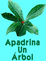 Apadrina un árbol