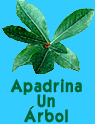 Apadrina un árbol