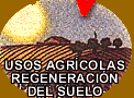 USOS AGRCOLAS. REGENERACIN DEL SUELO